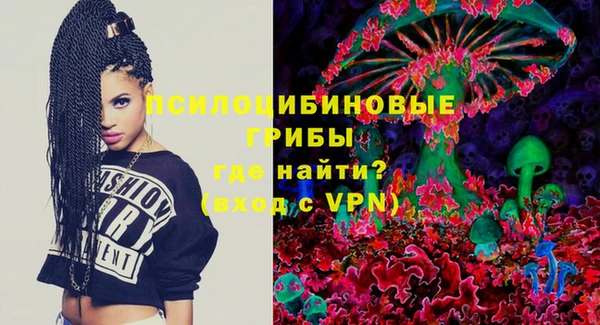 PSILOCYBIN Магас
