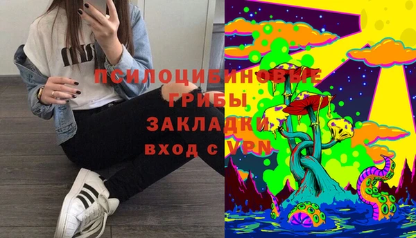 бутират Алзамай