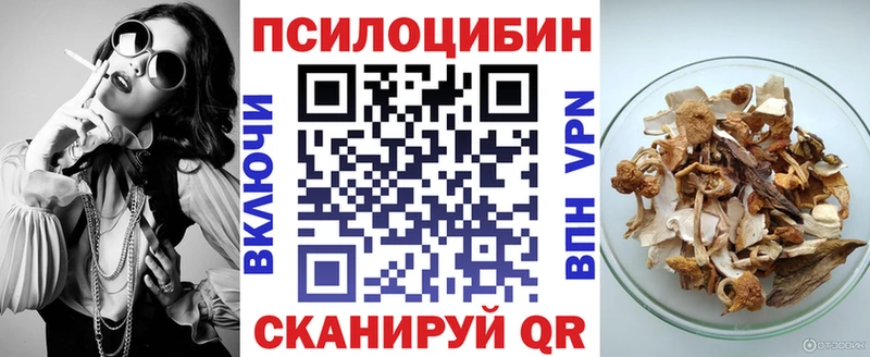 Псилоцибиновые грибы мухоморы  kraken как зайти  Бердск  где купить  